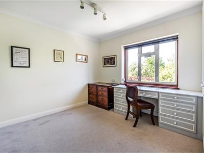 Picture 23